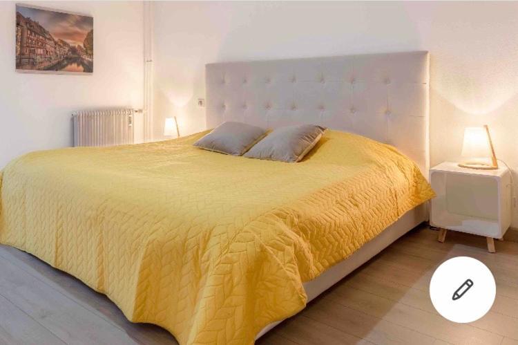 Appartement Colmar Centre Historique Avec Garage Екстер'єр фото